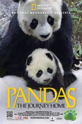 Pandas: The Journey Home Poster